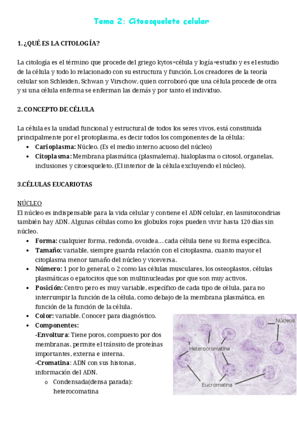 Miniatura del documento Tema-2-19-Histologia.pdf