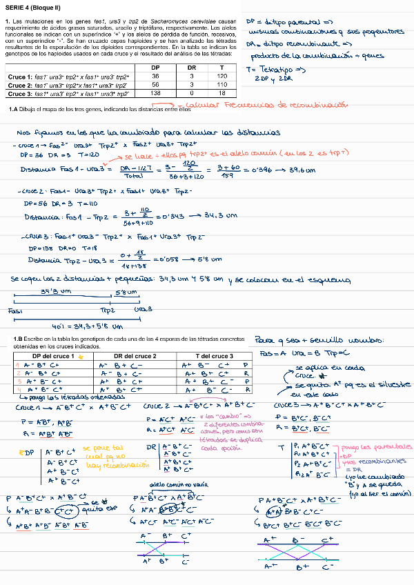 Miniatura del documento SERIE-4-bloque-2-CORREGIDA.pdf