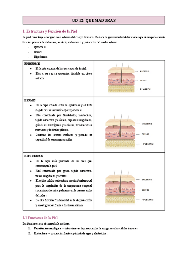 Miniatura del documento UD-12-QUEMADURAS.pdf