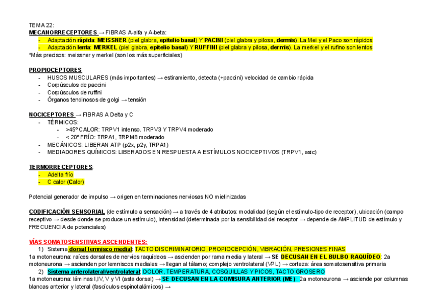 Miniatura del documento TEMA-22.pdf