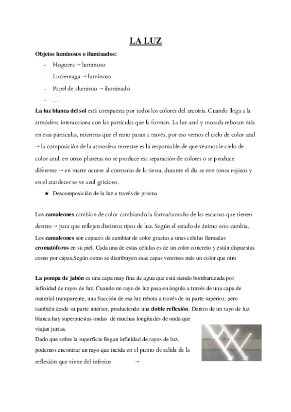 Miniatura del documento LA-LUZ.pdf