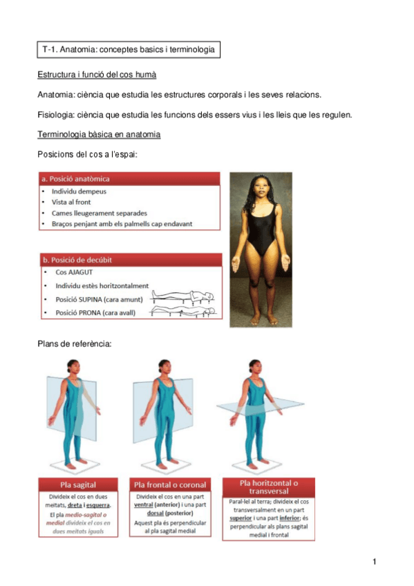 Miniatura del documento esquema T-1 a T-13.pdf