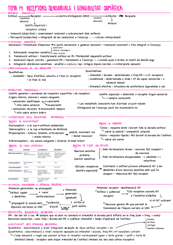 Miniatura del documento Resums-t14-i-t15.pdf