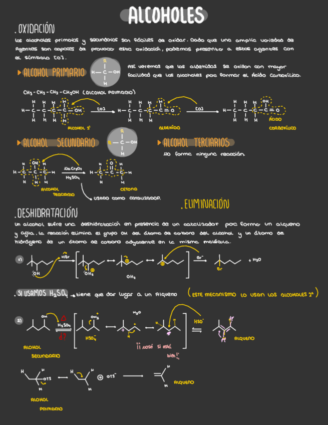 Miniatura del documento ALCOHOLES.pdf