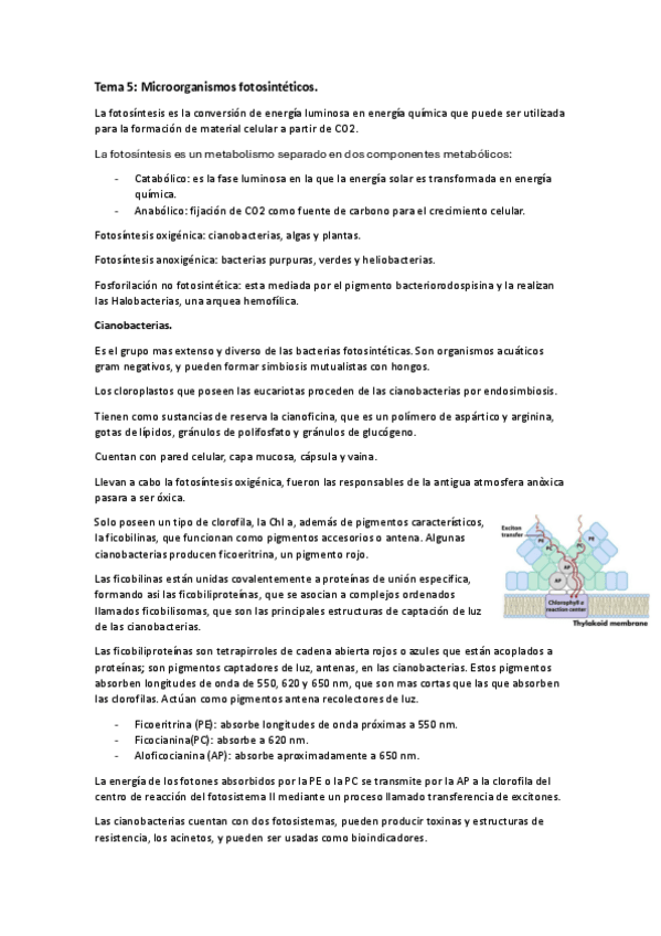 Miniatura del documento Microbiologia-Tema-5.pdf