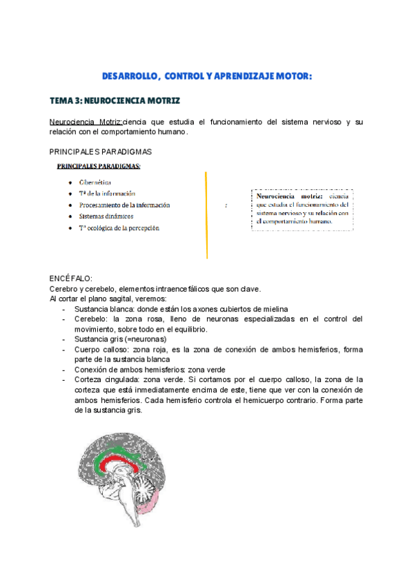 Miniatura del documento TEMA-3-DESARROLLO.pdf