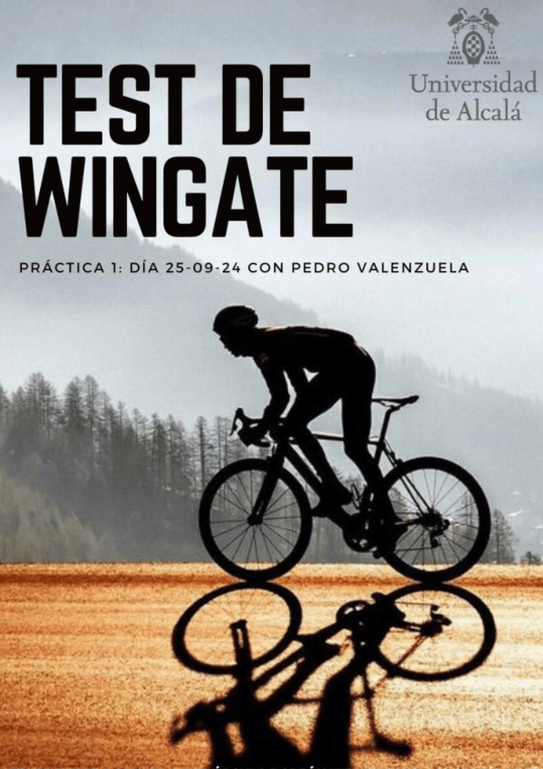 Miniatura del documento TestWingate.pdf