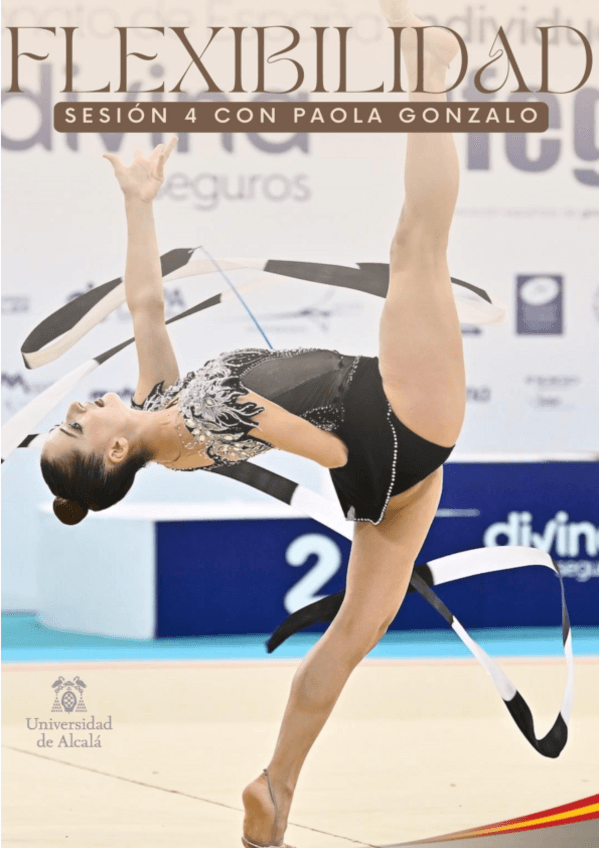 Miniatura del documento PRACTICA-4.-FLEXIBILIDAD.pdf