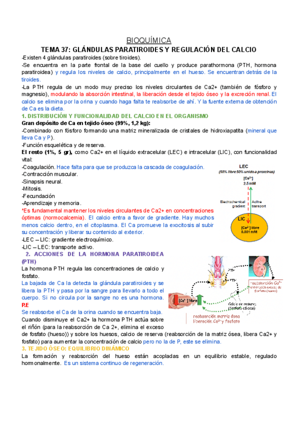 Miniatura del documento BQ-T37.pdf
