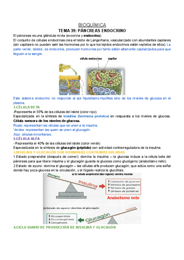 Miniatura del documento BQ-T39.pdf