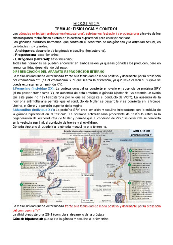 Miniatura del documento BQ-T40.pdf