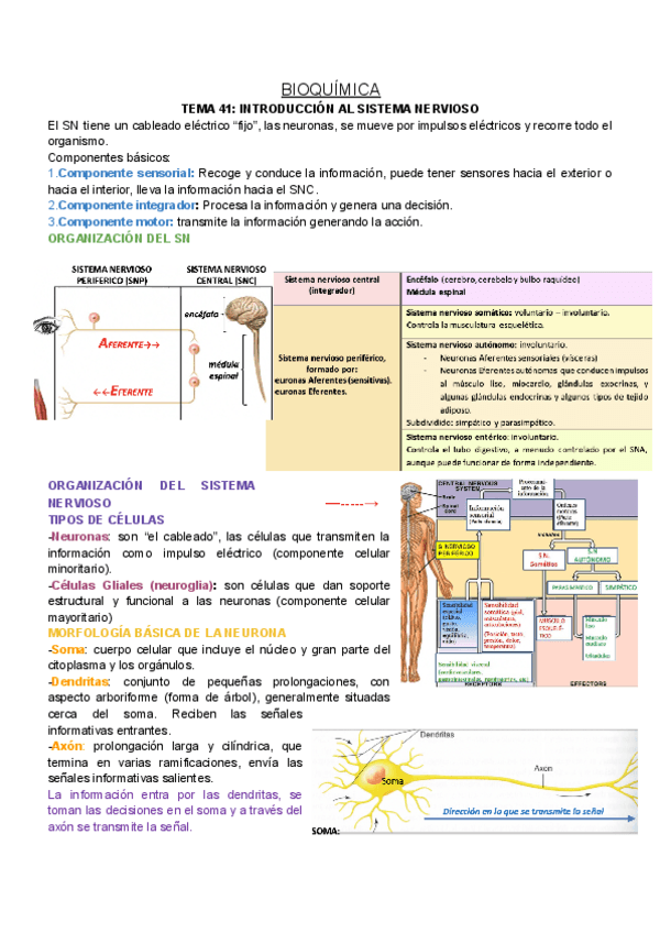 Miniatura del documento BQ-T41.pdf