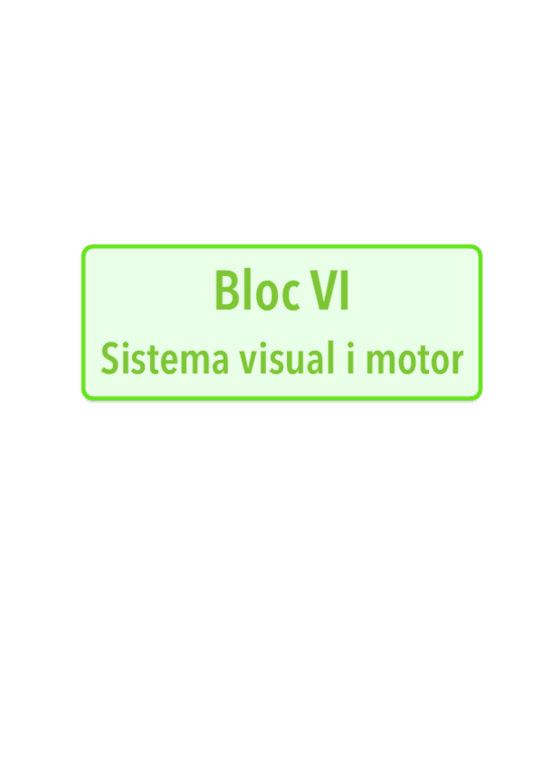 Miniatura del documento Bloc-VI.-Sistema-visual-i-motor.pdf