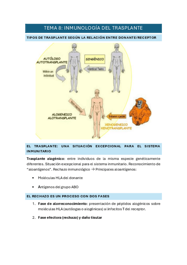Miniatura del documento Tema-8.pdf