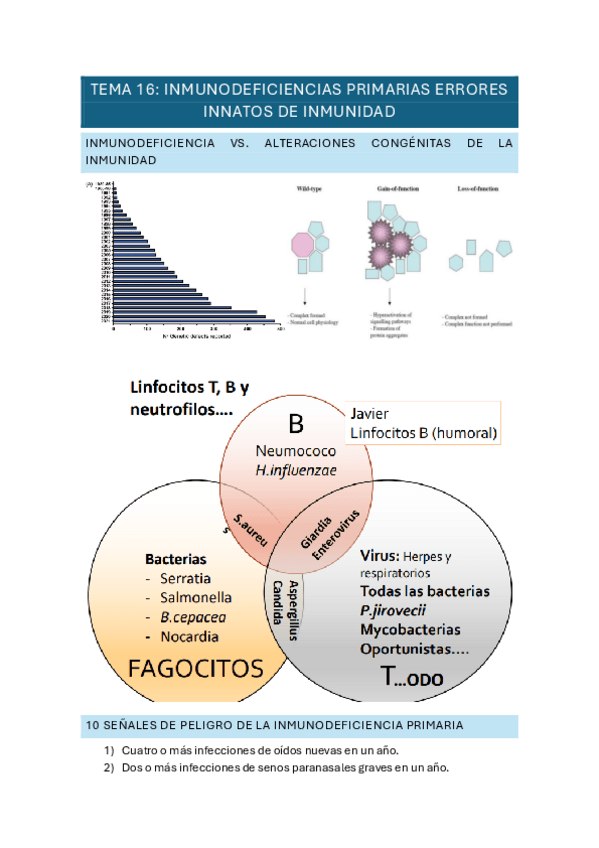 Miniatura del documento TEMA-16.pdf
