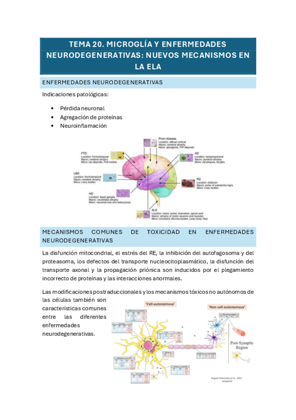 Miniatura del documento tema-19-y-20-inmuno.pdf