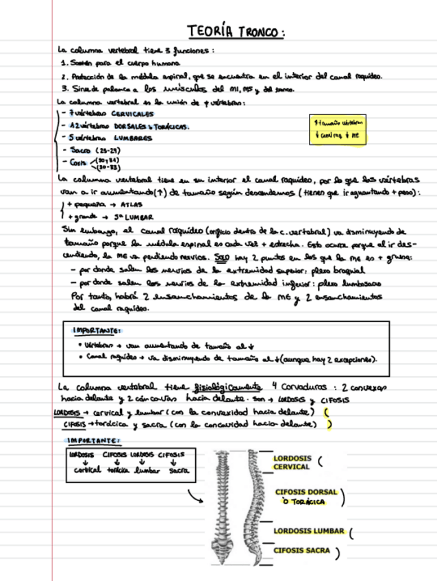 Miniatura del documento tronco.pdf