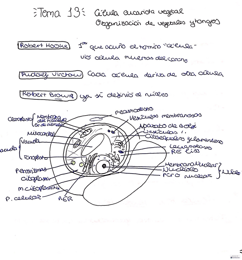 Miniatura del documento Temas-131415-ROCIO.pdf