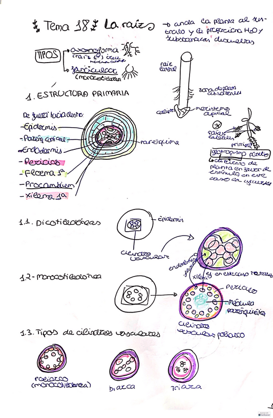 Miniatura del documento TEMAS-181920-ROCIO.pdf