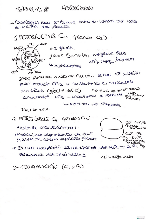 Miniatura del documento TEMAS-212223-ROCIO.pdf