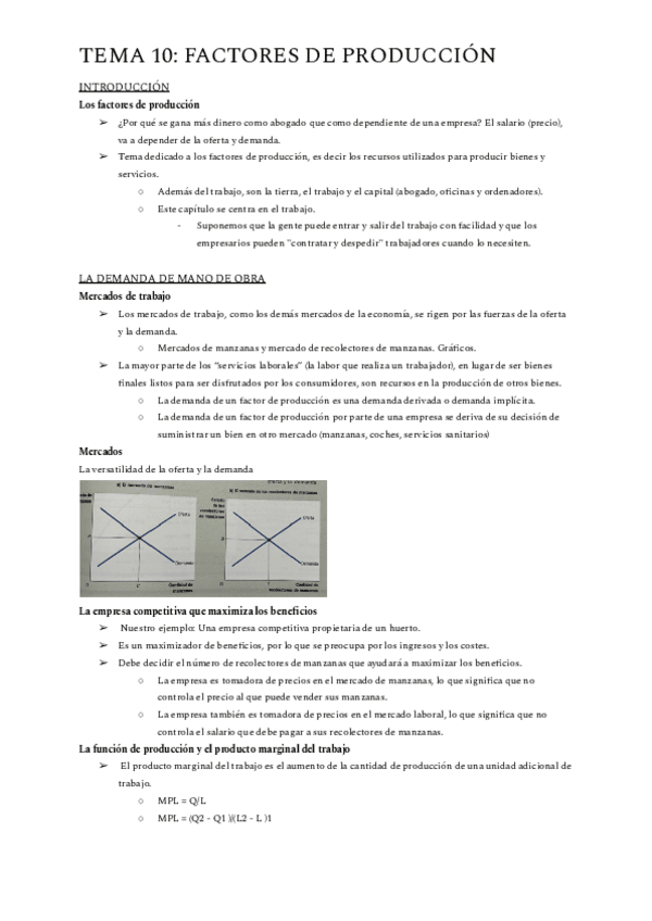 Miniatura del documento ECONOMIA-TEMA-10.pdf