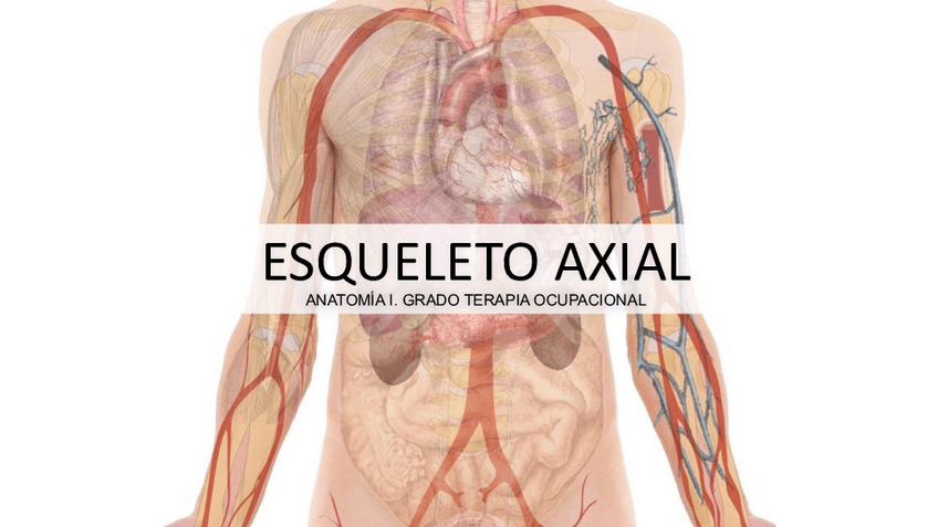 Miniatura del documento 3.ESQUELETO-AXIAL.pdf