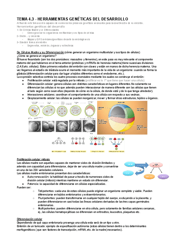 Miniatura del documento GIA-Apuntes-Tema-4.3.docx.pdf