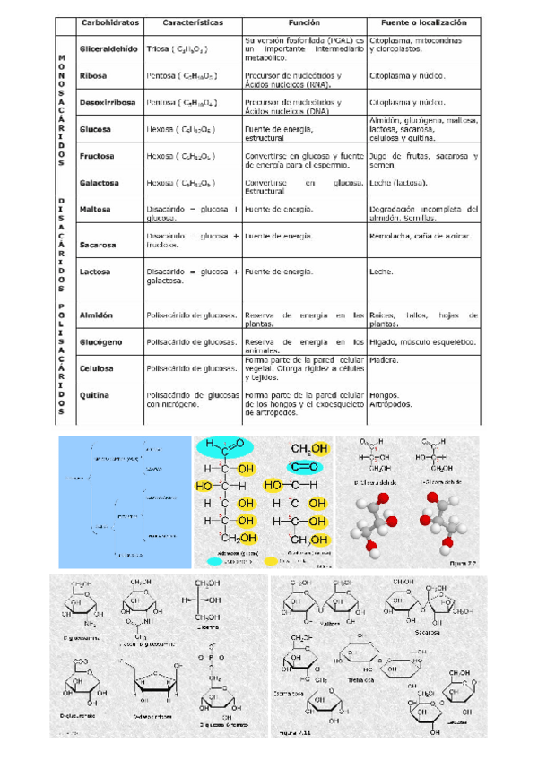 Miniatura del documento Tabla-resumen-carbohidratos.docx.pdf