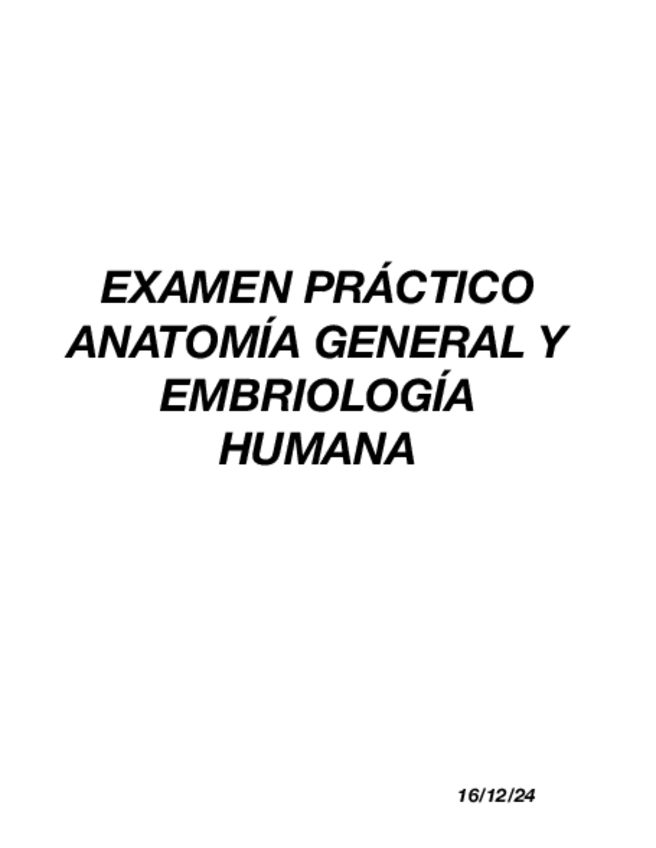 Miniatura del documento Examen-Practico.pdf
