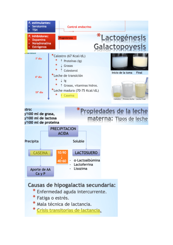 Miniatura del documento Pedia-conceptos-Ex-24-25.pdf