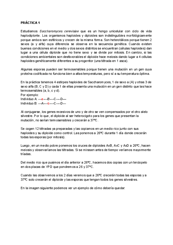 Miniatura del documento Informe-de-practicas-Genetica-I.pdf
