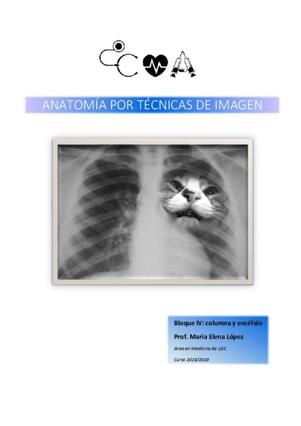 Miniatura del documento Bloque-4.-Columna-y-Neuro..pdf