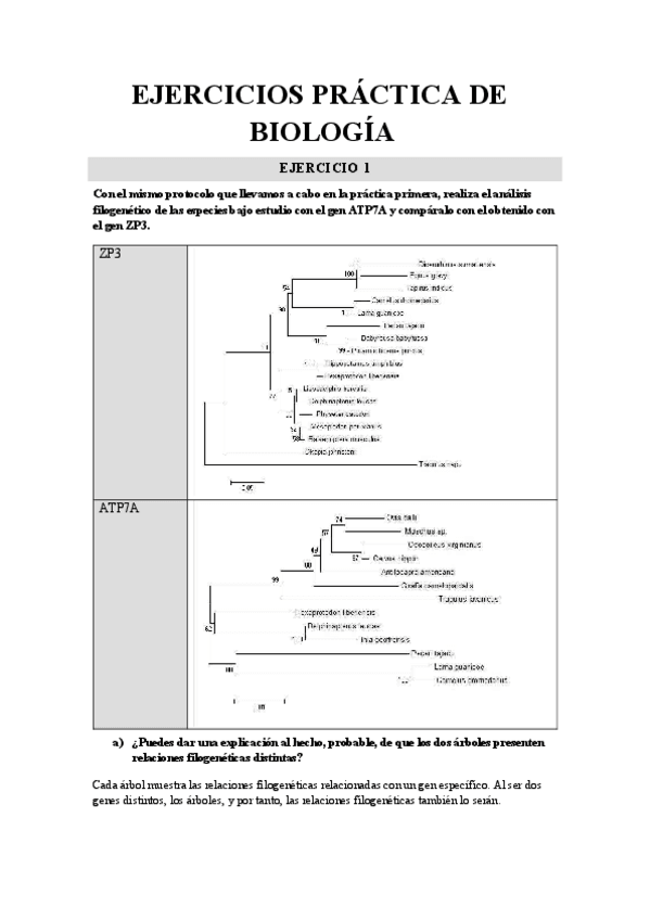 Miniatura del documento Ejercicios-Practica-Biologia.pdf