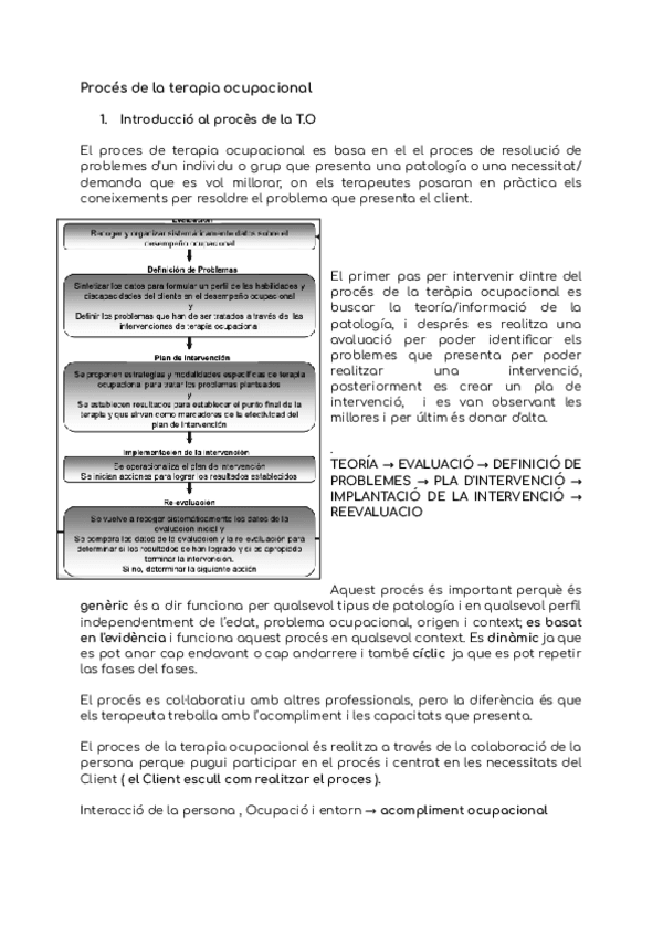 Miniatura del documento Proces-de-la-terapia-ocupacional.pdf
