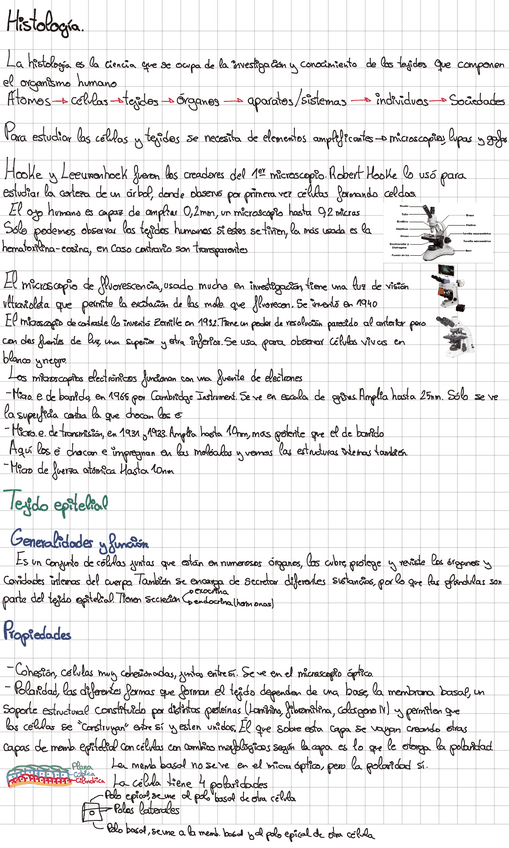 Miniatura del documento Histologia-Temas-completos.pdf