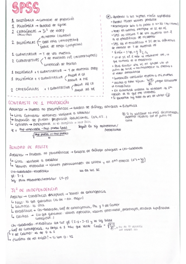 Miniatura del documento APUNTES-SPSS-10.pdf