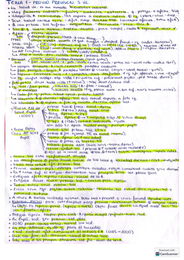 Miniatura del documento ASPECTOS--IMP-CADA-TEMA-SM.pdf
