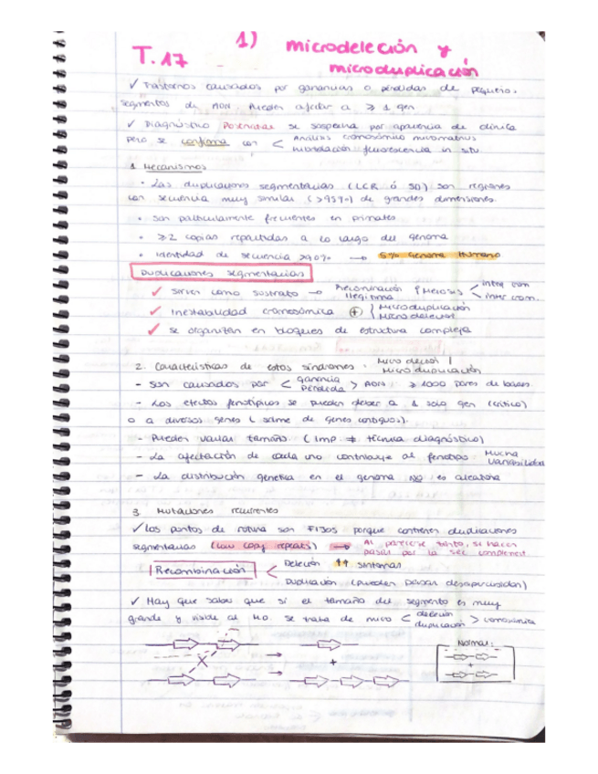 Miniatura del documento t17.pdf