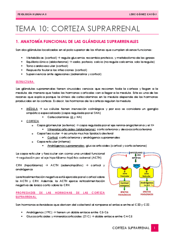 Miniatura del documento 10CORTEZA-SUPRARRENAL.pdf