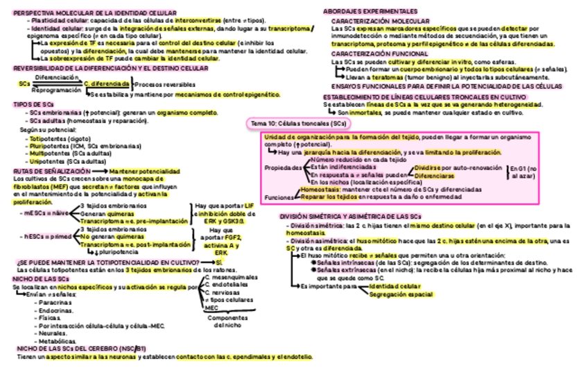 Miniatura del documento OCCI-bloque-II.pdf