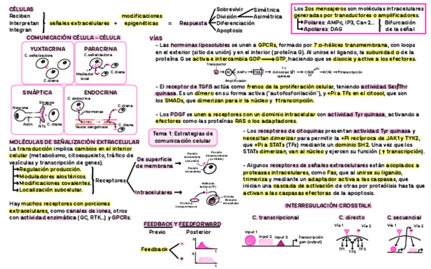 Miniatura del documento OCCI-bloque-I.pdf
