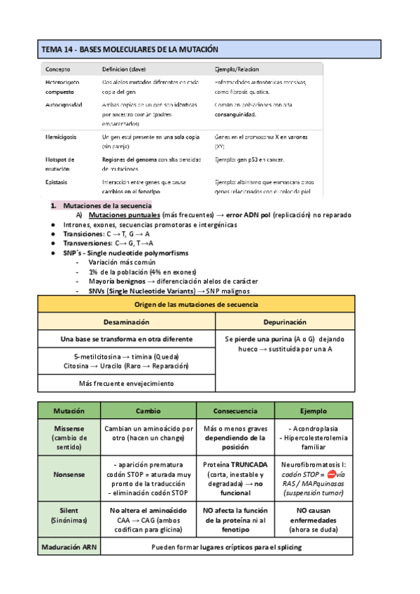 Miniatura del documento TEMA-14-BASES-MOLECULARES-DE-LA-MUTACION.pdf