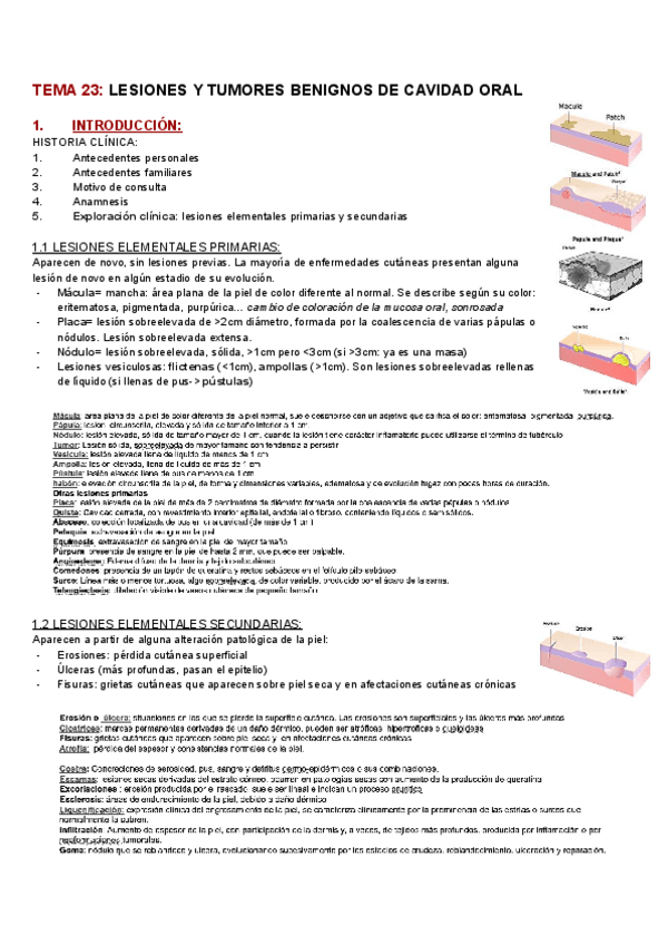 Miniatura del documento PQ-TEMAS-23-y-24-maxilo.pdf