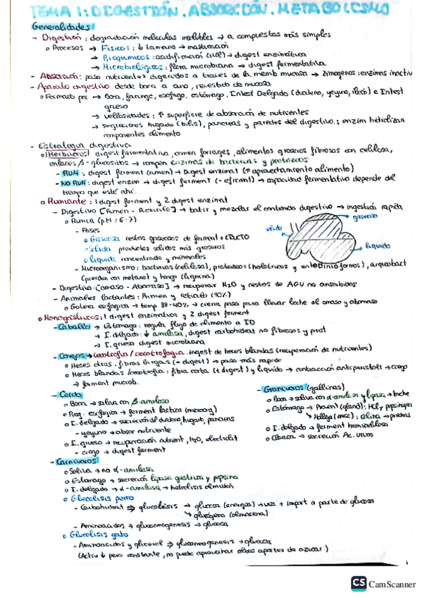 Miniatura del documento RESUMEN-NUTRI.pdf
