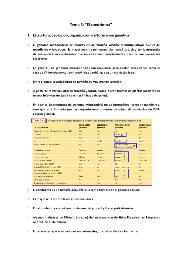 Miniatura del documento Tema-5-El-condrioma.pdf