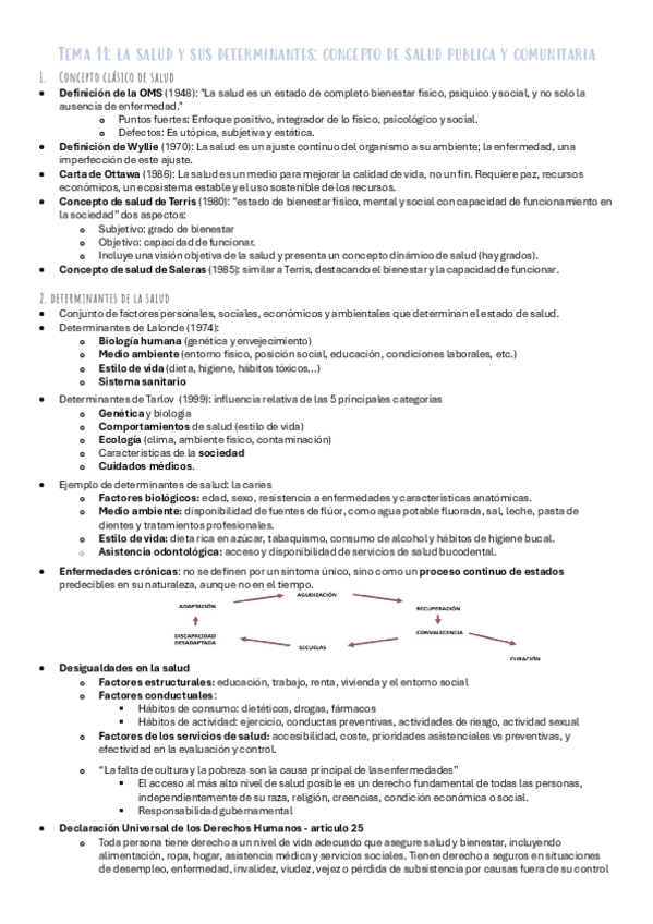 Miniatura del documento T11-la-salud-y-sus-determinantes-concepto-de-salud-publica-y-comunitaria.pdf