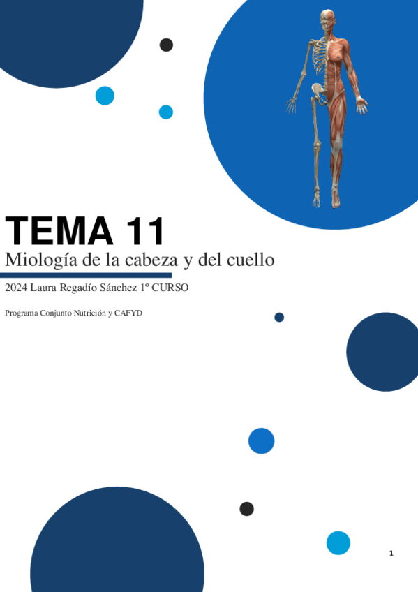 Miniatura del documento TEMA-11-ANATO.pdf