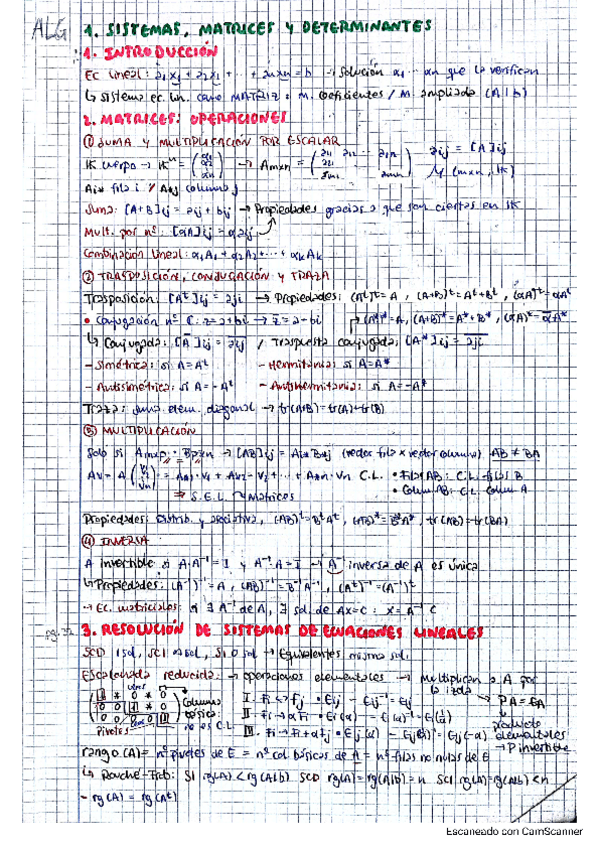 Miniatura del documento ALG-RESUMEN-APUNTES-TEMAS-1-5-PRIMER-PARCIAL.pdf