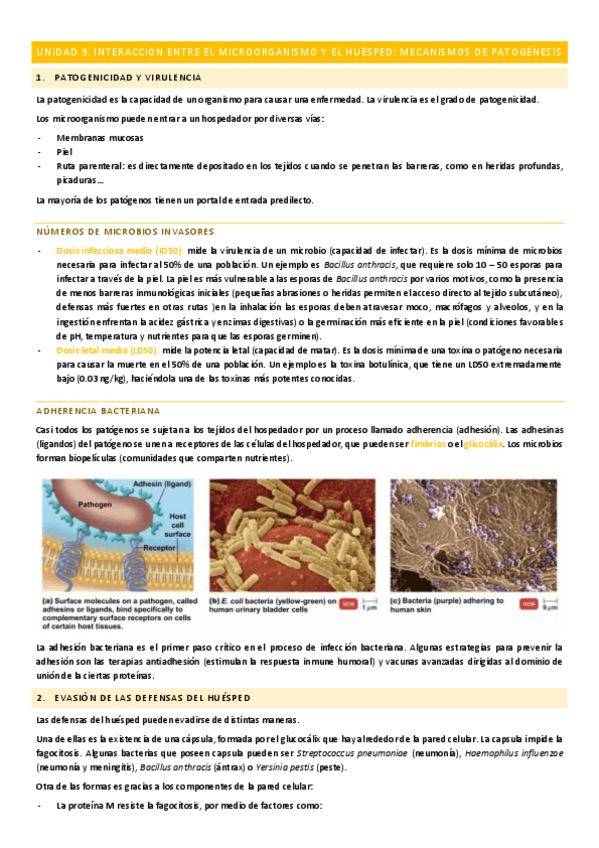 Miniatura del documento Unidad-9.pdf