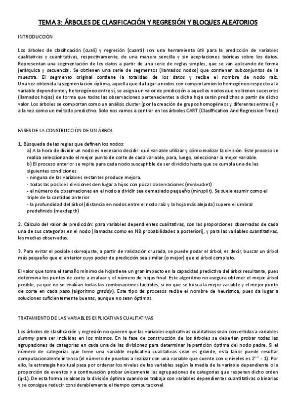 Miniatura del documento RESUMEN-TEMA-3-AIDA-SEGMENTACION.pdf